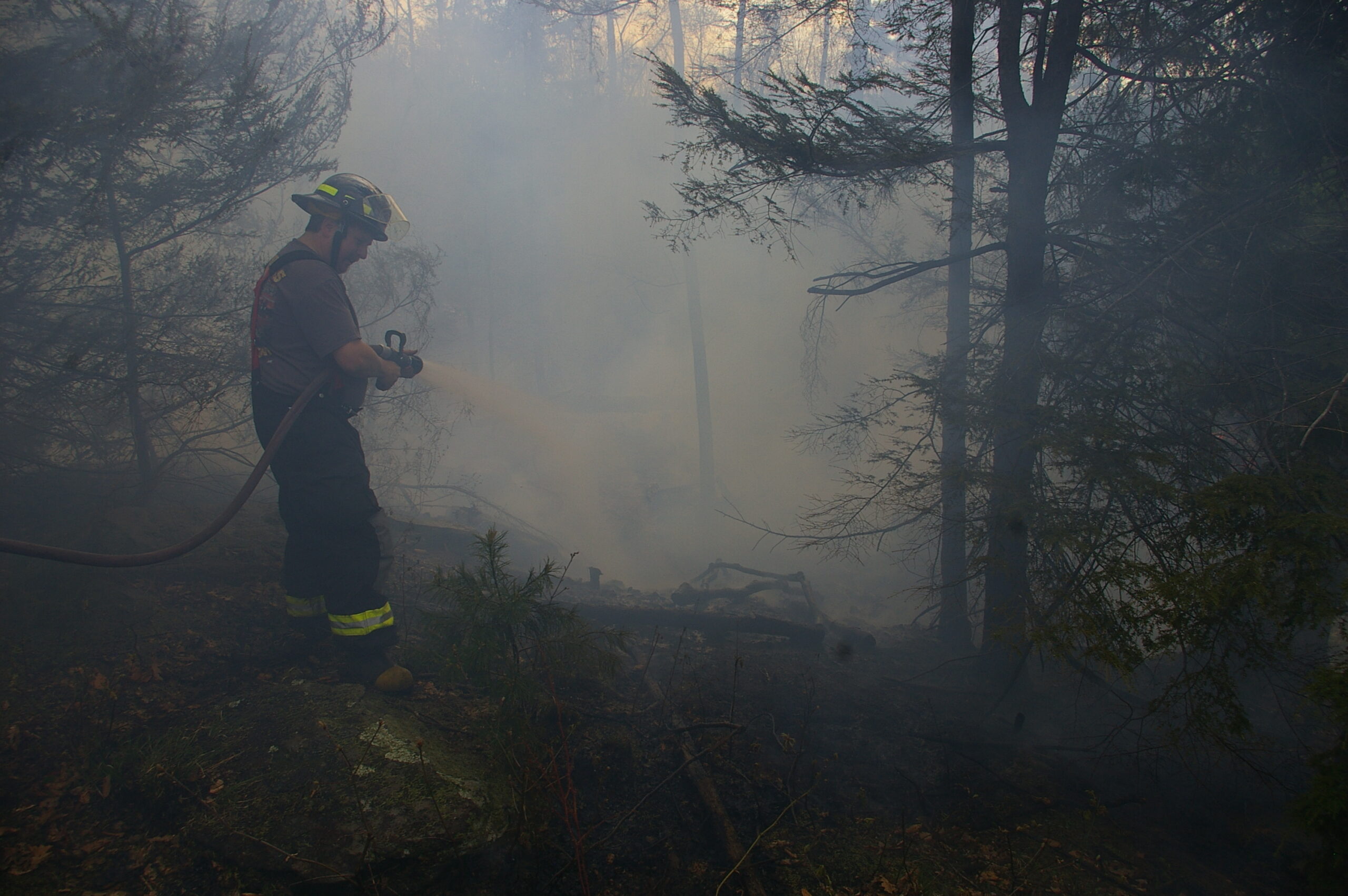 Smoke In Woods Scaled